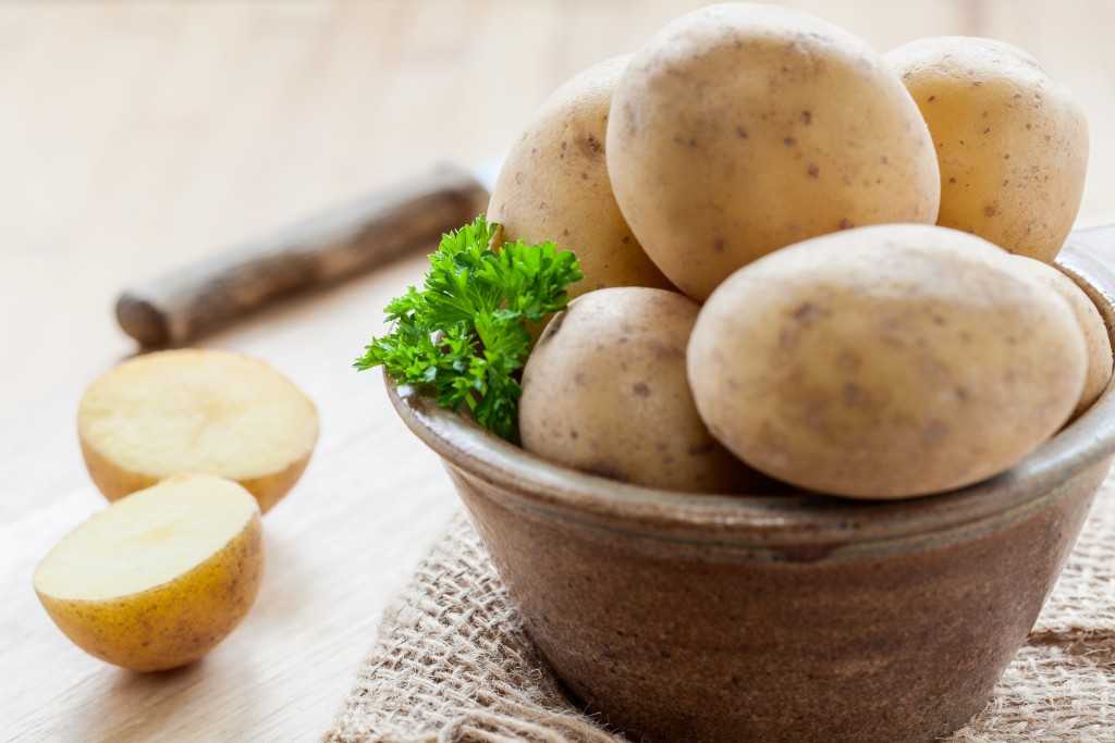 Чем заменить картошку и лимон? забытой репой и ревенем | питание и диеты | кухня