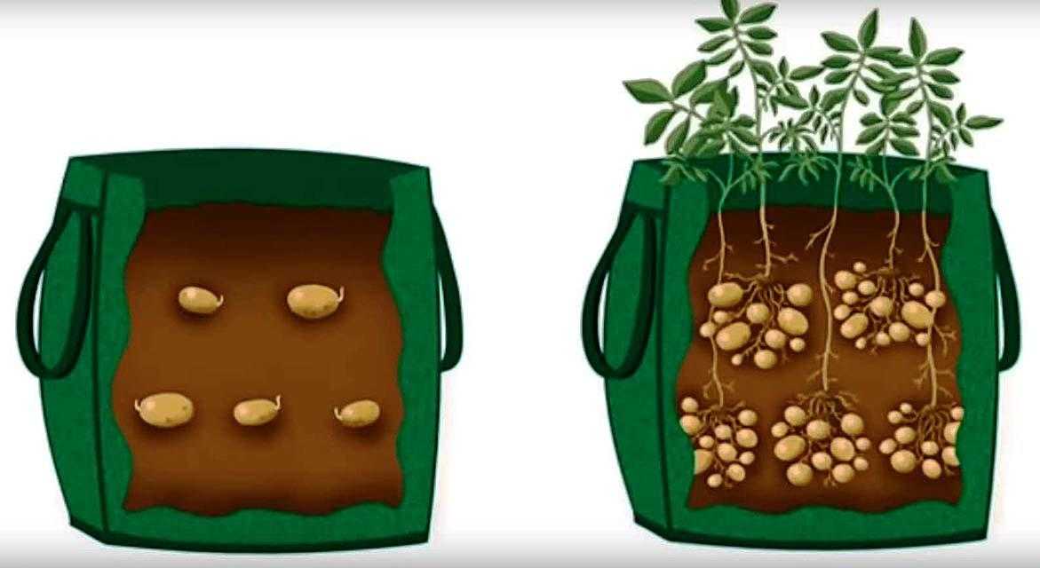 Сколько весит мешок картошки: сетчатый, капроновый, джутовый?