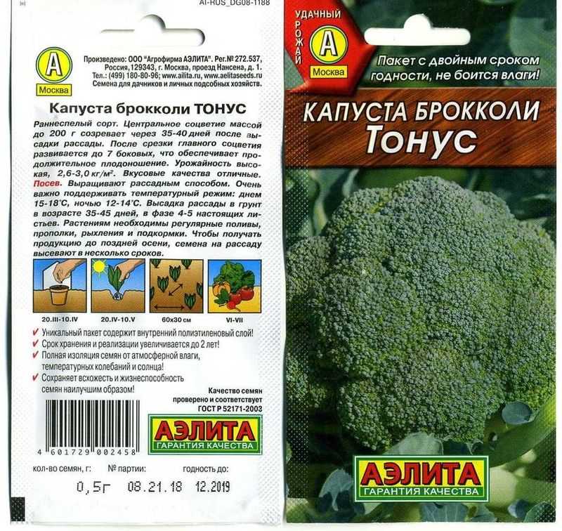 Сорта капусты брокколи с описанием, характеристикой и отзывами, какие лучше выбрать для выращивания в средней полосе россии, на урале