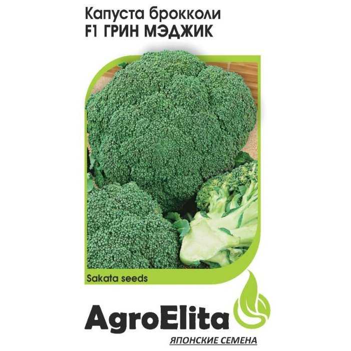 Характеристики и особенности брокколи. как вырастить капусту в открытом грунте или в теплице?