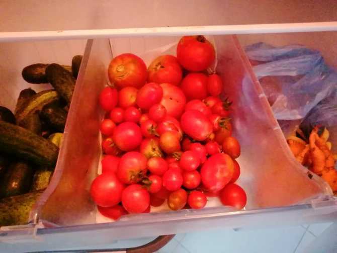 Как сохранить томаты свежими надолго - огород, сад, балкон - медиаплатформа миртесен