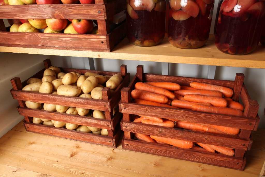 Можно ли хранить яблоки в погребе вместе с картошкой, как организовать хранение фруктов в одном подвале с картофелем?