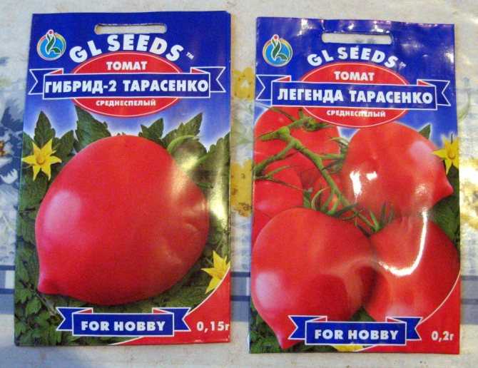 Гибрид, который советуют дачники — томат тарасенко 2 и его положительные качества