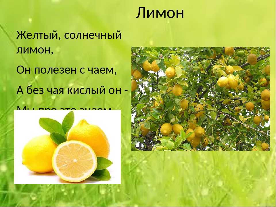 Загадка про лимон. Загадка про лимон для детей. Лимон для презентации. Стих про лимон.