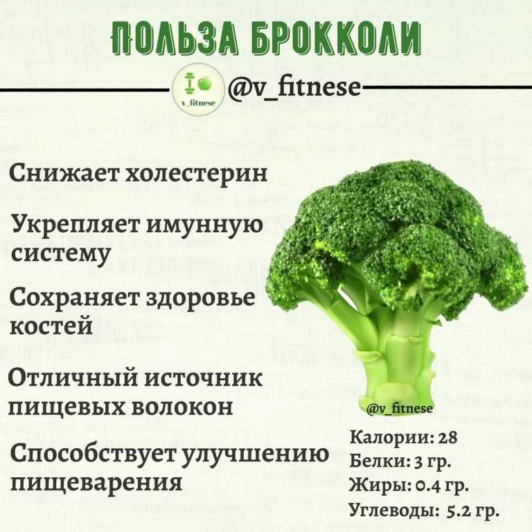 Можно ли есть капусту на диете? калорийность и польза продукта | alkopolitika.ru