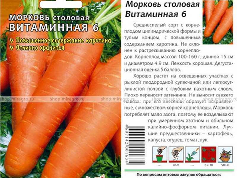 Морковь осенний король: отзывы, фото, описание и характеристика сорта, выращивание и уход