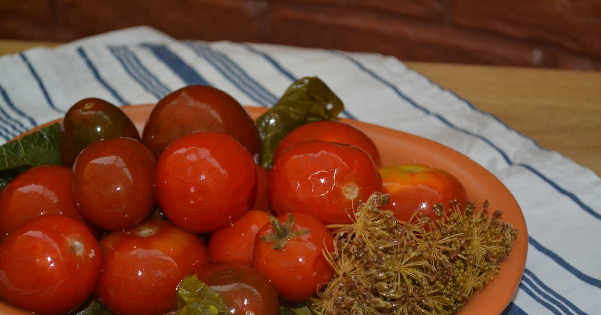 Соленые помидоры в ведре: самые вкусные рецепты