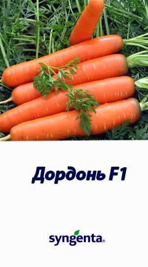 Морковь дордонь f1 отзывы