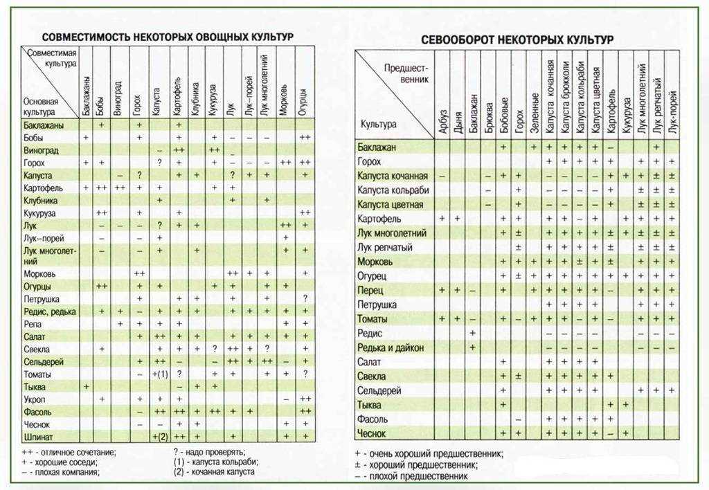 Схема севооборота на огороде - 81 фото