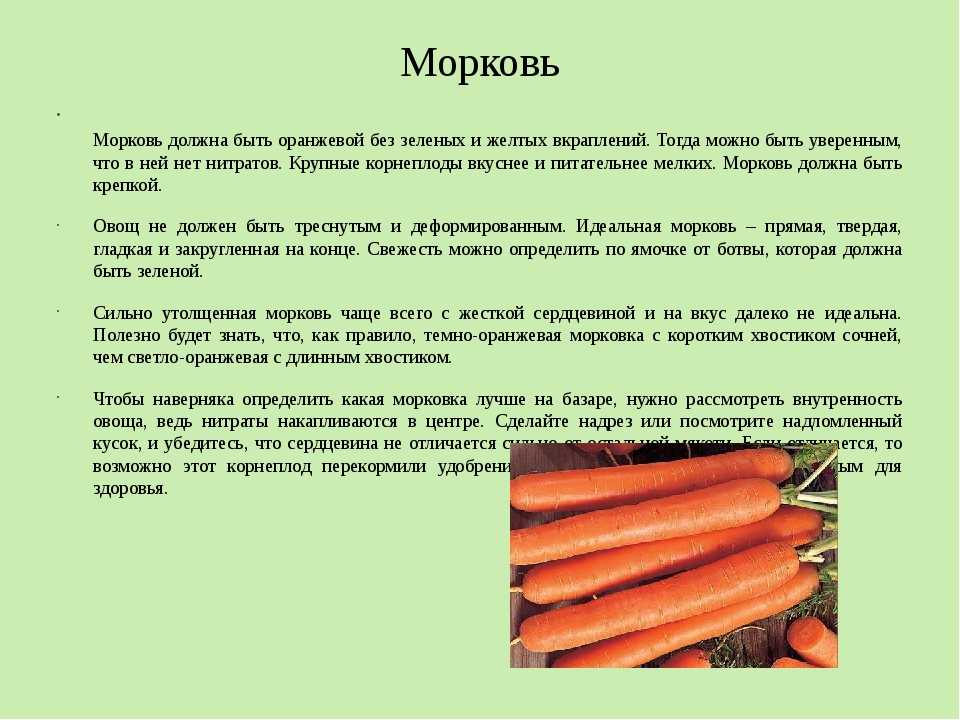 Почему морковь горчит и можно ли ее есть. почему морковь вырастает горькой | дачная жизнь