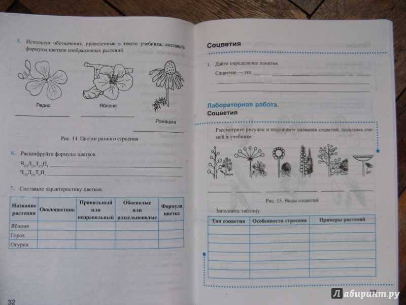 Содержание учебника биологии 6 класс пасечник