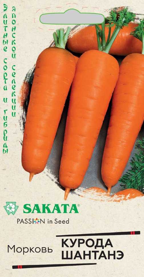 Высокоурожайная морковь "шантане" - описание сорта