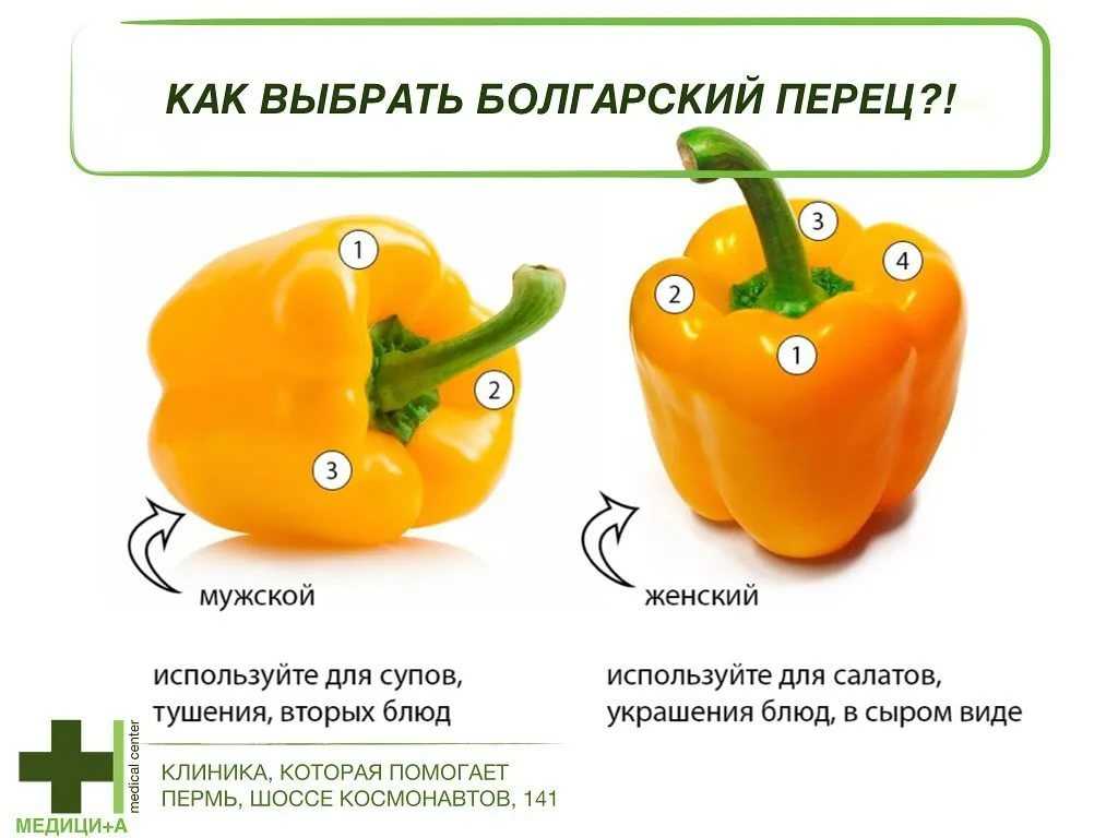 У перца, какой вкус. цвета болгарского перца: что они обозначают?