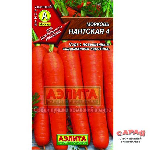 Морковь нантская: характеристика и описание сорта, выращивание и уход, фото