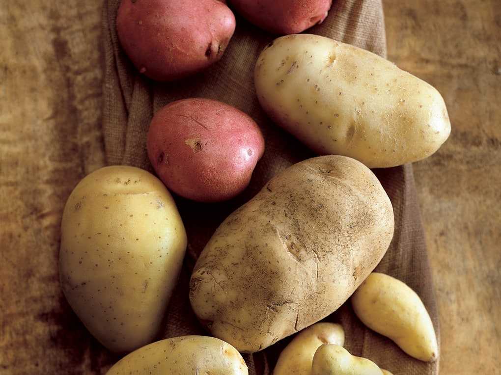 Можно ли есть позеленевшую картошку от света, чем она вредна? что делать, если картофель позеленел?