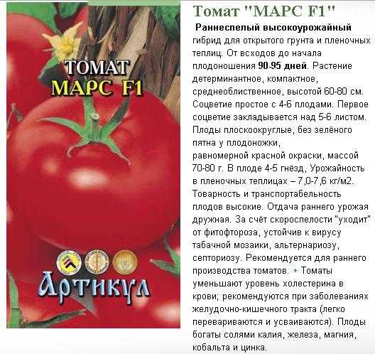 Один из лучших ранних сортов с впечатляющей урожайностью — томат афродита f1