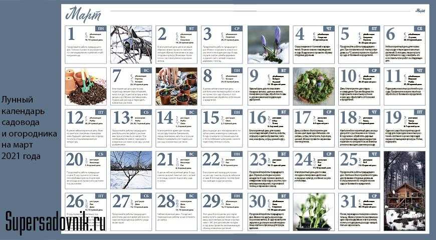 Лунный календарь посадки растений 2021 : благоприятные дни