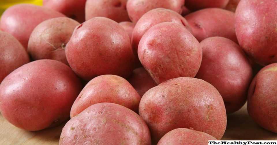 Какая картошка лучше для жарки: красная или белая, как выбрать сорт картофеля для еды в жареном виде и для варки