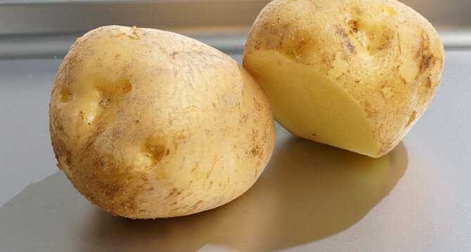Крахмалистые сорта картофеля. сорта картофеля с высоким содержанием крахмала