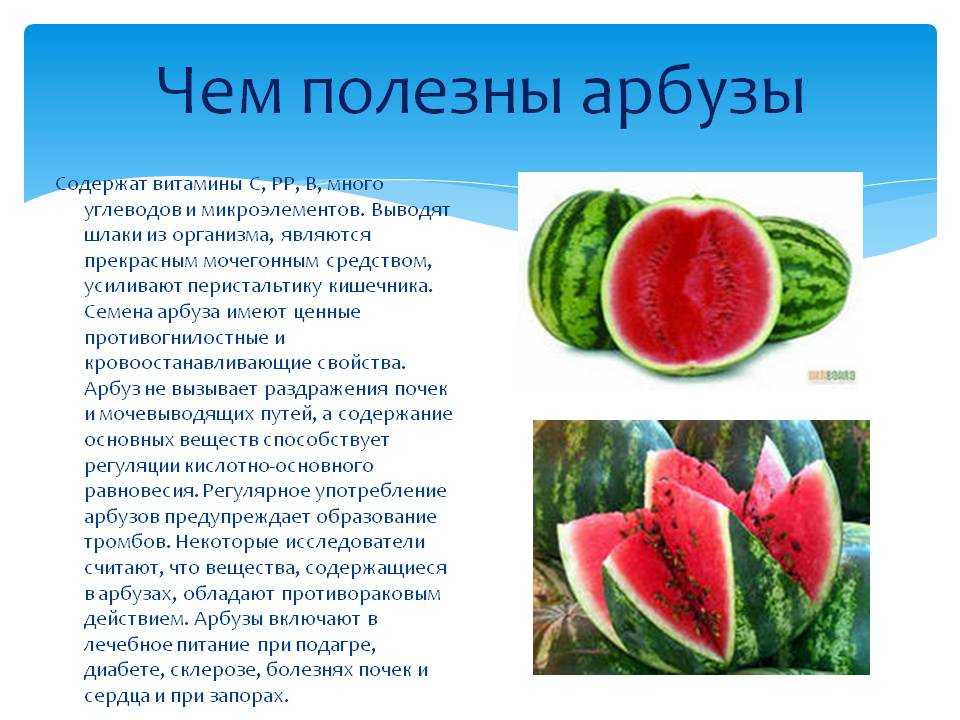 Дыня: это овощ, фрукт или ягода? описание, состав, польза и вред