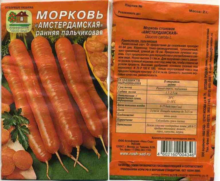 Морковь самсон: описание и характеристика сорта, урожайность, посадка и уход, фото, отзывы