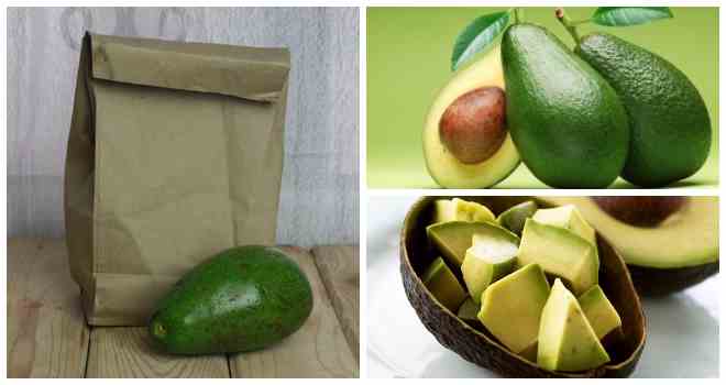 Как правильно хранить авокадо в домашних условиях, чтобы не испортился