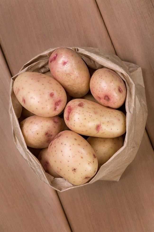 Щедрый на урожаи и устойчивый к вредителям — картофель каменский: описание сорта и отзывы
