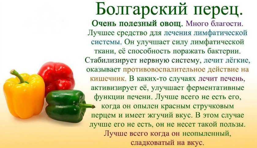 Польза, вред, калорийность болгарского перца на 100 грамм