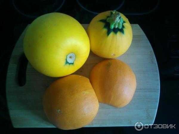 Кабачок апельсинка f1: отзывы, фото, описание сорта, посадка и уход, выращивание