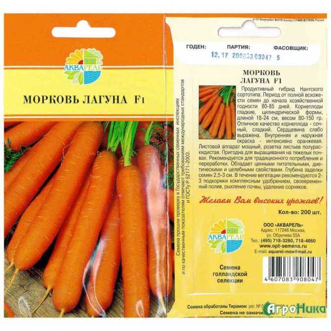 Раннеспелый гибрид моркови со сладким вкусом нандрин f1