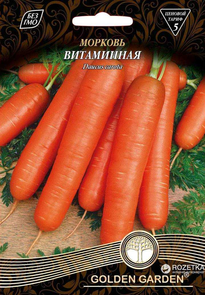 ✅ морковь сорта витаминная: ботаническое описание и характеристика, плюсы и минусы, выращивание и уход, фото, отзывы - tehnoyug.com