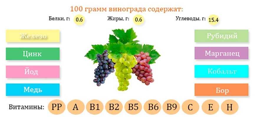 Калорийность черного винограда с косточками