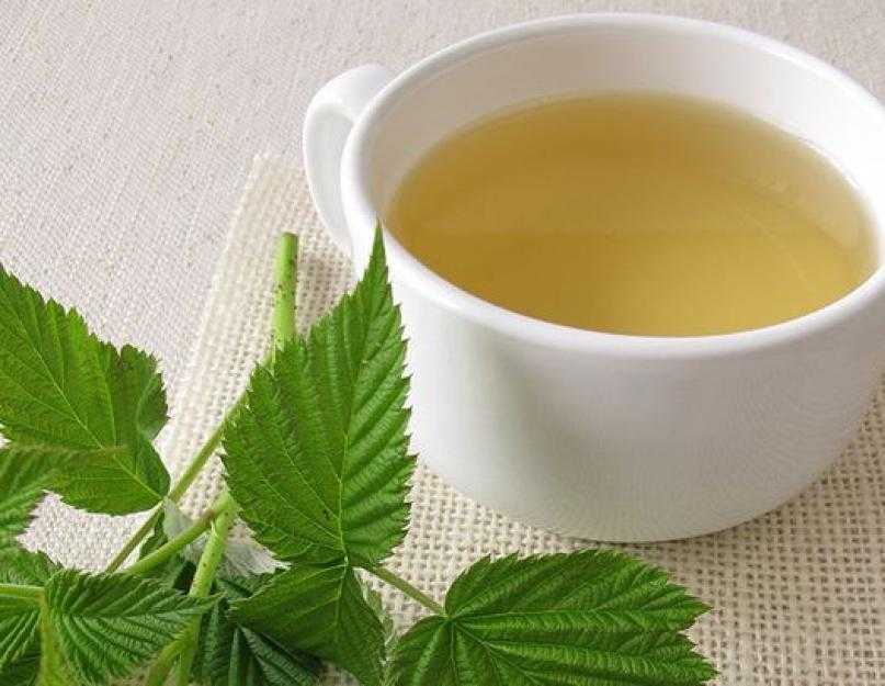 Чай с листьями малины. Чай с малиновым листом. Чай из малиновых листьев. Листья малины чай. Чай из листьев малины.