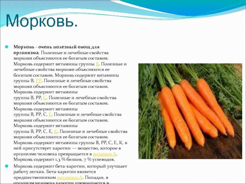 Морковь — какое это растение, сколько весит, из чего состоит — все о моркови