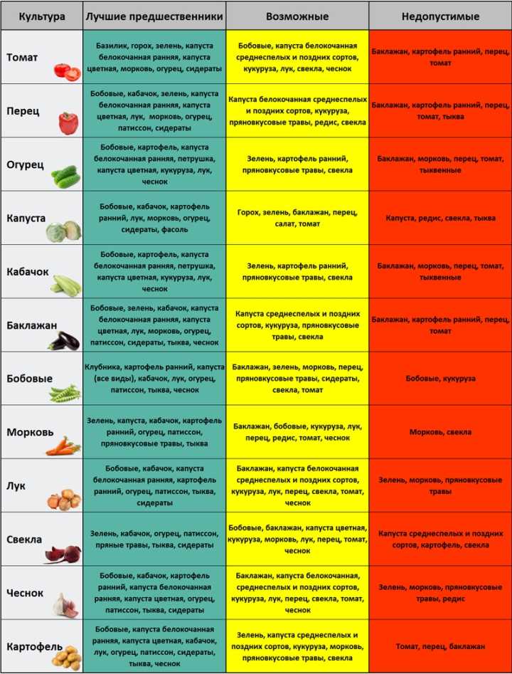Таблица совместимости сидератов и овощных культур. растения-сидераты | дачная жизнь