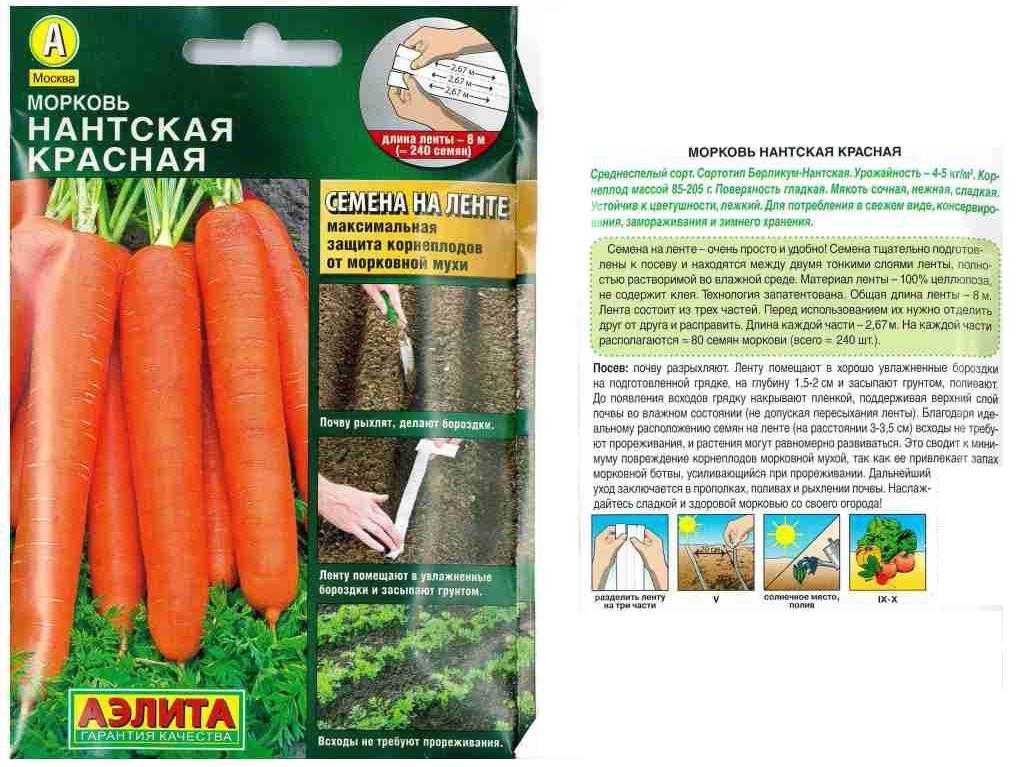 Морковь сорта император: характеристика и особенности выращивания