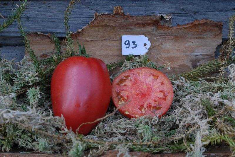 Абаканский розовый томат: характеристика и описание сорта