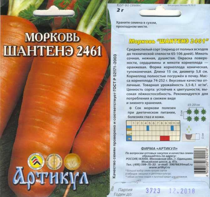 Морковь шантане: описание и характеристика сорта, виды, относящиеся к нему, например, роял, курода, правила выращивания, а также похожие корнеплоды русский фермер