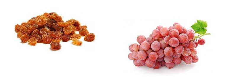 Виноград - польза и вред для организма человека, калорийность ягод