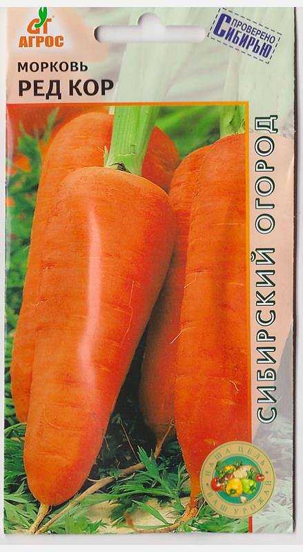 Королева осени, морковь: описание сорта и характеристика урожайности, отзывы дачников, рекомендации, когда убирать, фото, особенности посадки и хранения