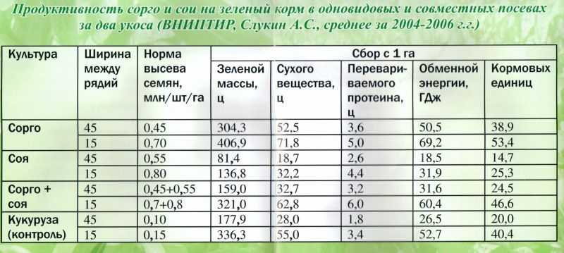 Урожайность сои с 1 га: сколько центнеров можно собрать с гектара, какие в среднем показатели по рф, в том числе в краснодарском крае, как увеличить плодородность?