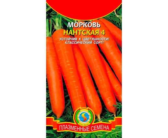 Морковь нантская: происхождение сорта, урожайность, отзывы