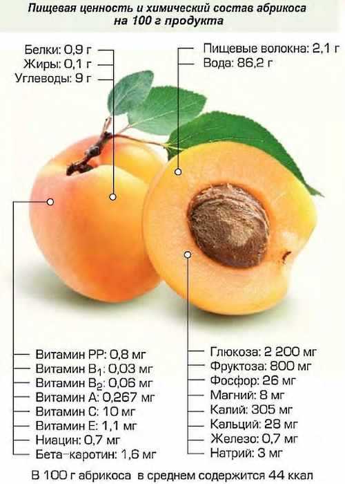 Какие витамины и микроэлементы содержатся в арбузе