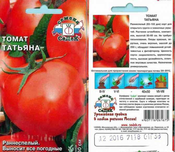 Один из лучших раннеспелых сортов для засаливания — томат богата хата f1 от фирмы аэлита