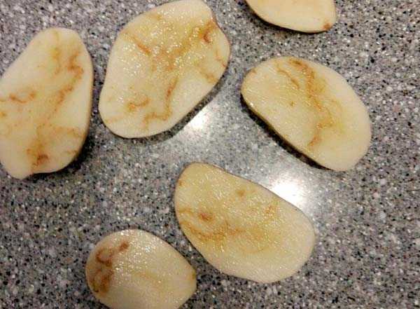 Почему на картофеле пятна: меры борьбы с железистой пятнистостью и другими заболеваниями