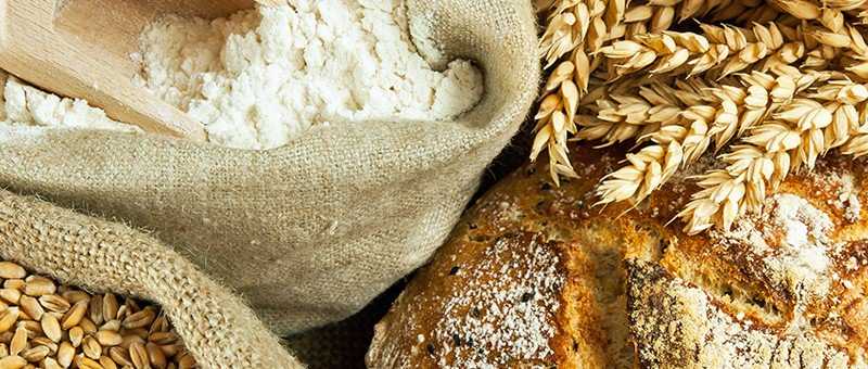 Клейковина пшеничная: что такое идк, расшифровка, сколько глютена в зерне