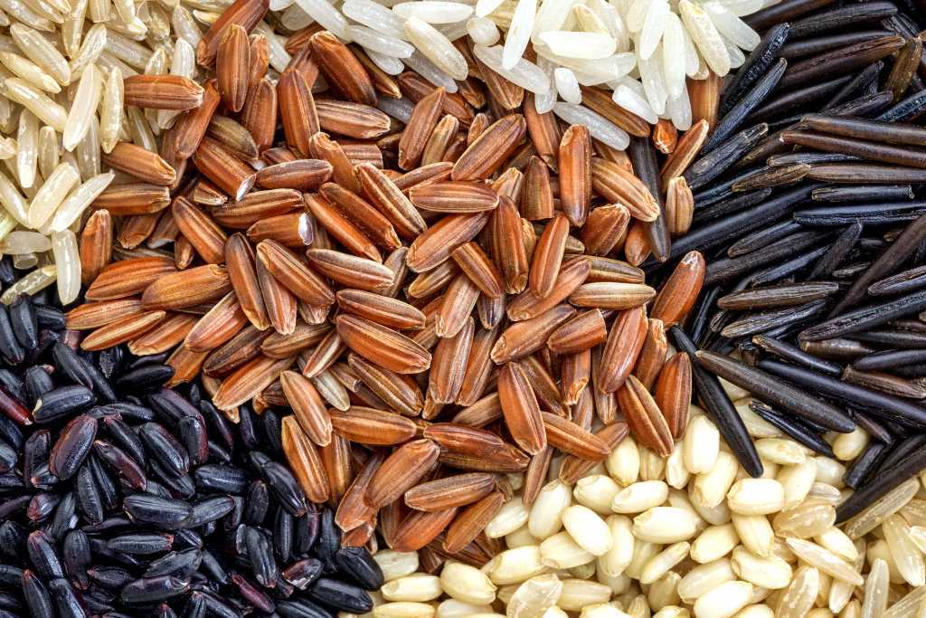 Какой рис самый полезный для организма человека? - пища это лекарство