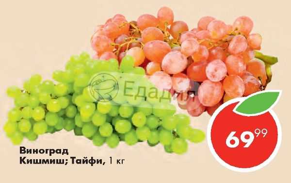 Сколько калорий в винограде в зеленом, черном, белом и красном :: syl.ru