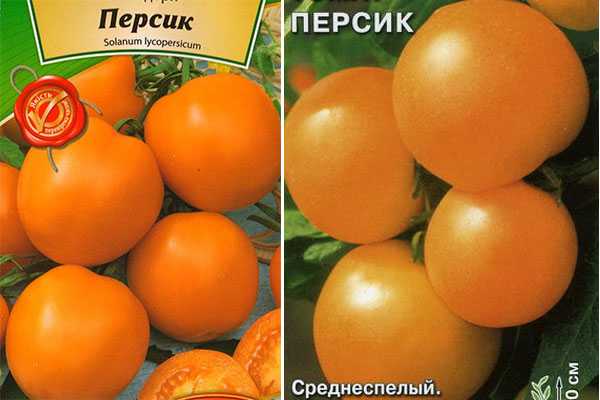 Томаты "идальго" и "идальго сахарный f1": описание, отзывы, фото, урожайность – все о томатах. выращивание томатов. сорта и рассада.