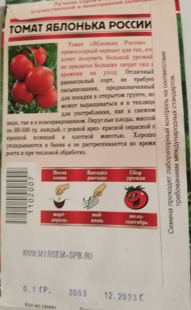 Томат Яблонька Отзывы Фото